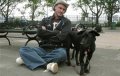 Mayor’s Alliance for NYC’s Animals® presents a screening of the documentary film, My Dog